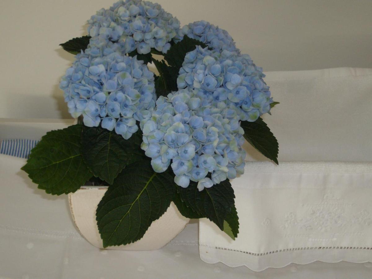 De Moeraseik Bed & Breakfast Zele Luaran gambar